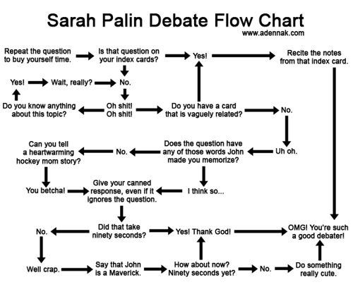 palin-flow.jpg