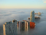 Miami Fog